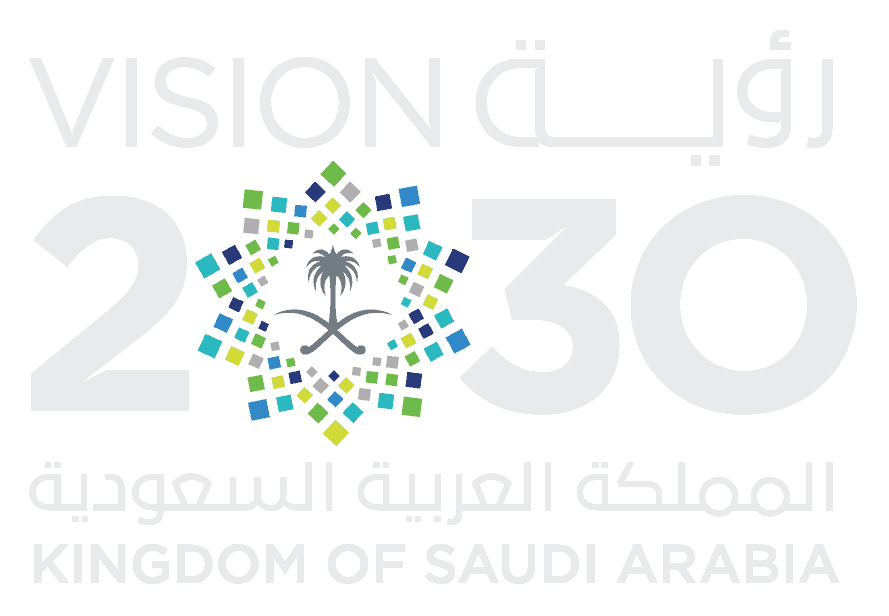 Vision 2030